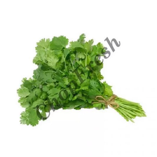 Coriander Bunch min