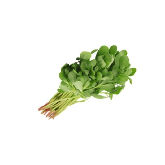 Methi Choti min